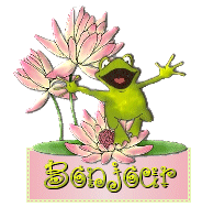 Bonjour