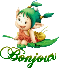 Bonjour