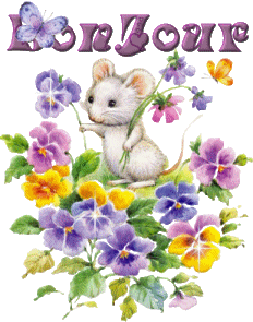 Bonjour
