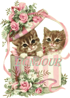 Bonjour