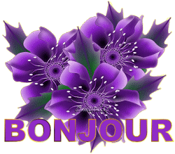 Bonjour