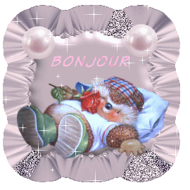 Bonjour