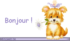Bonjour