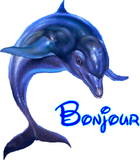 Bonjour