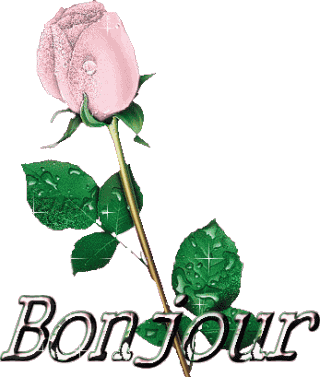 Bonjour