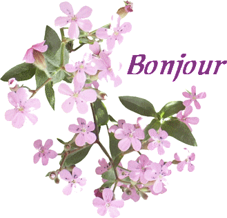 Bonjour