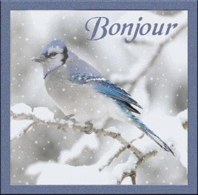 Bonjour