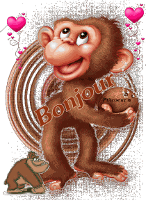 Bonjour