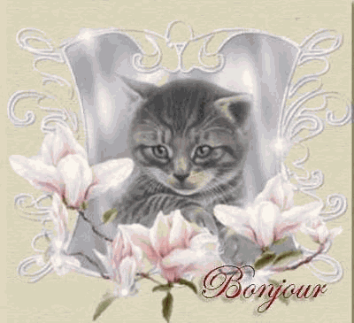 Bonjour