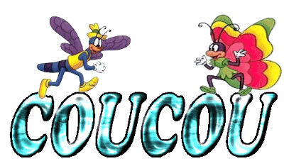 Bonjour