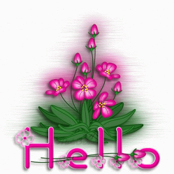 Bonjour