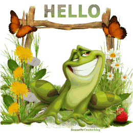 Bonjour