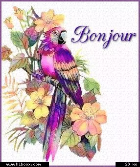 Bonjour