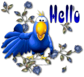 Bonjour