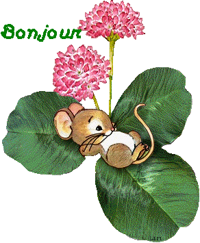 Bonjour