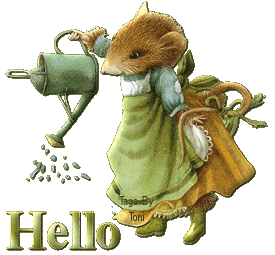 Bonjour