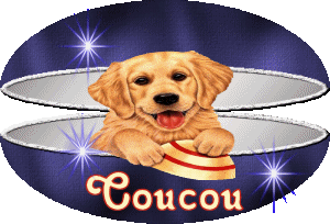 Bonjour