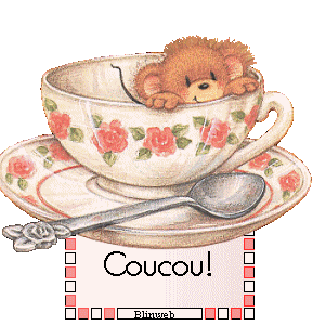 Bonjour