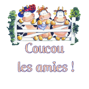 Bonjour