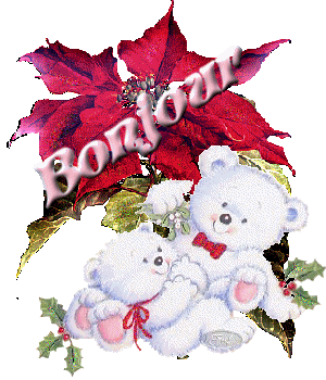 Bonjour