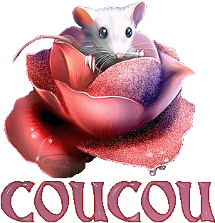 Bonjour