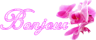 Bonjour
