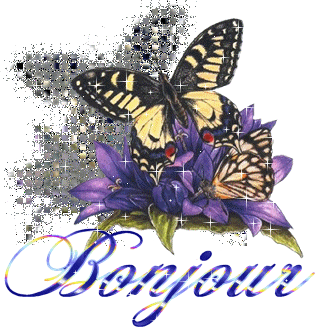 Bonjour
