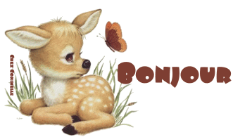 Bonjour