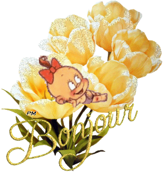Bonjour