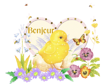 Bonjour