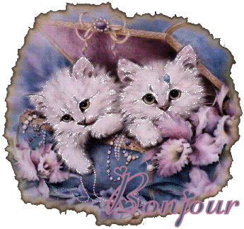 Bonjour
