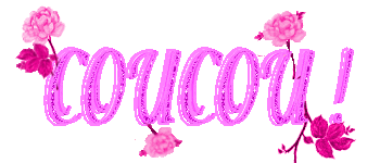 Bonjour