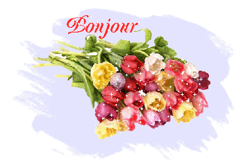 Bonjour