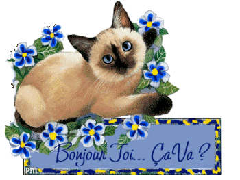 Bonjour