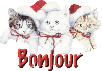 Bonjour