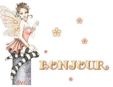 Bonjour