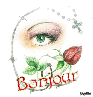 Bonjour