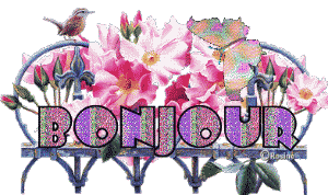 Bonjour
