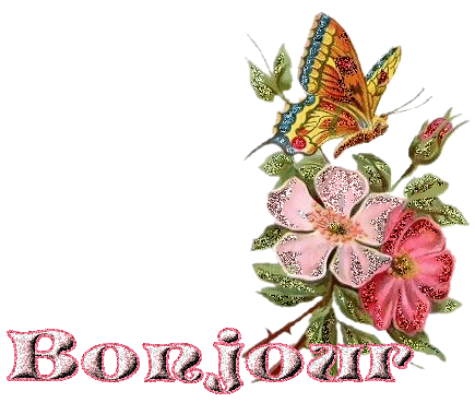 Bonjour