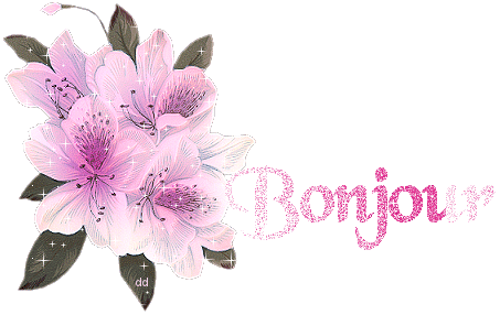 Bonjour