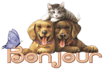 Bonjour