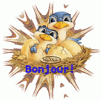 Bonjour