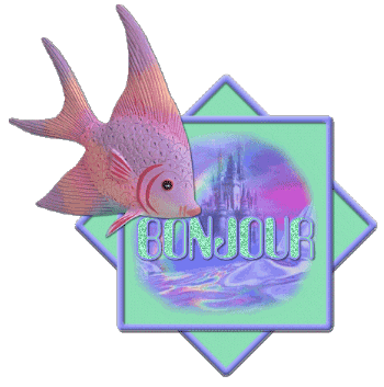 Bonjour