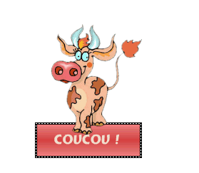 Bonjour
