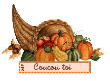 Bonjour