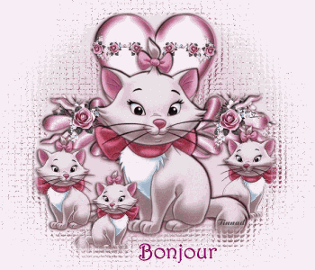 Bonjour