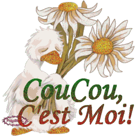 Bonjour