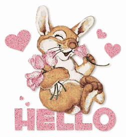 Bonjour