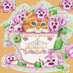 Bonjour