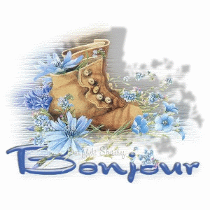 Bonjour